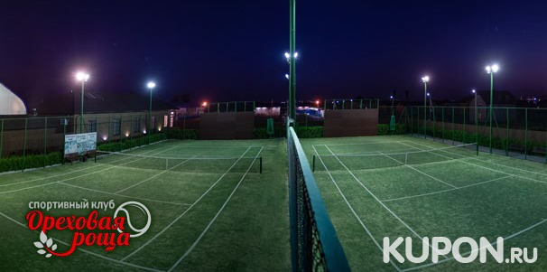 1 час игры в большой теннис на открытом корте для компании до 4 человек в теннисном клубе «Ореховая роща». Скидка до 40%