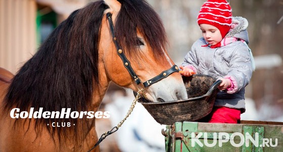 Экскурсия на ферму для детей и взрослых в конном клубе Golden Horses Club. Скидка до 62%