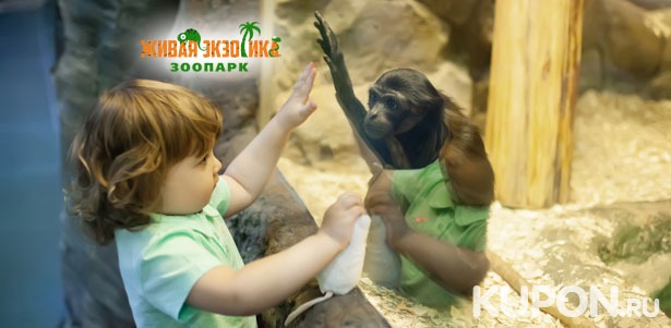 Скидка до 51% на билеты в зоопарк «Живая экзотика» для взрослых и детей + разрешение на фотосъемку!