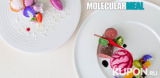 Мастер-классы по молекулярной кухне для одного, двоих, троих или четверых от компании Molecularmeal. Скидка до 51%