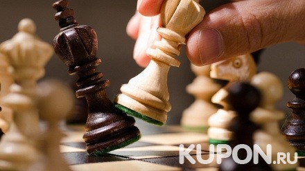 Групповые или индивидуальные онлайн-занятия по шахматам в клубе «Армагеддон»