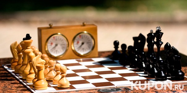 Обучение игре в шахматы по Skype для взрослых и детей от школы шахмат Realchess со скидкой 90%