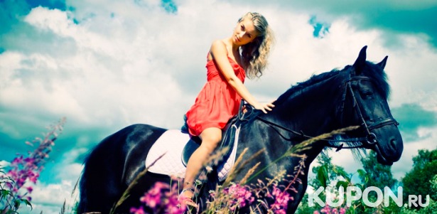 Скидка до 46% на прогулки на лошадях в лесу или поле для взрослых и детей в конном клубе «Авиньон»