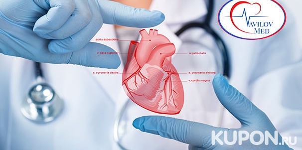 Диагностика сердечных заболеваний по упрощенной, стандартной и расширенной программам в медицинском центре «Вавилов Мед». Скидка до 78%