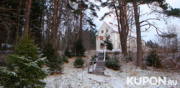 От 2 дней отдыха для двоих или троих в финской усадьбе «Лесогорская» в Ленинградской области. **Скидка до 40%**
