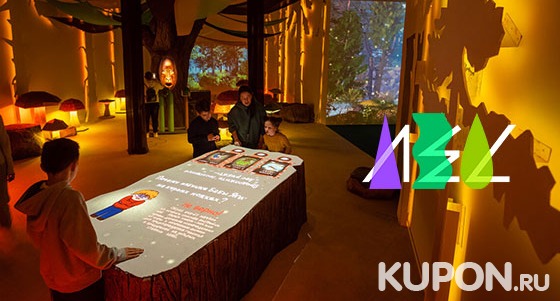 Билеты в интерактивную мультимедийную галерею «Лес»: 5 различных залов, панорамная инсталляция, активности различного характера и другое. Скидка 50%