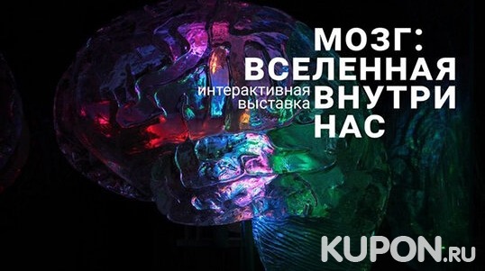 Это что-то новое! Билеты для детей и взрослых на интерактивную выставку «Мозг: вселенная внутри нас» от компании Brainworkgroup!