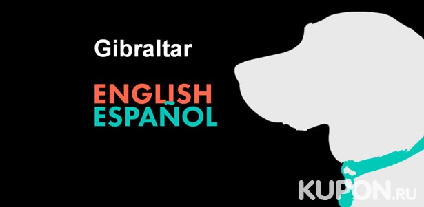 Изучение английского или испанского​ ​языка​ ​в​ ​школе​ ​иностранных​ ​языков​ ​Gibraltar: от 1 до 12 месяцев! Скидка до 67%