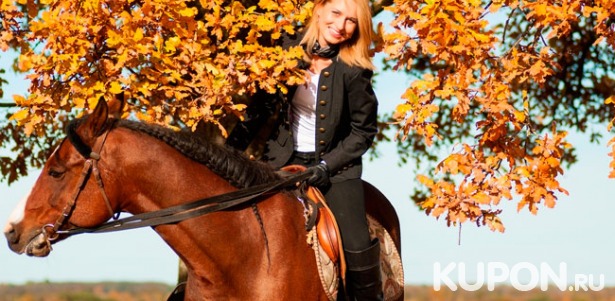 Скидка до 51% на обучение верховой езде или часовую прогулку на лошади на конюшне в Сертолово