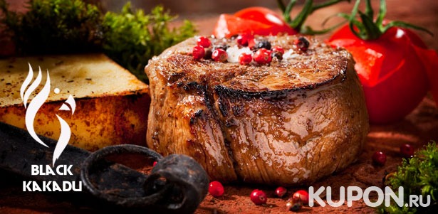 Любые блюда и напитки в караоке-баре Black Kakadu: свиной шашлык, паста с креветками, тирольские колбаски, свиное филе по-тоскански и не только! **Скидка 50%**