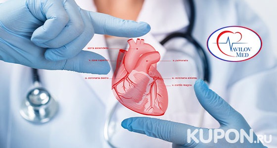 Обследование сердца по упрощенной, стандартной и расширенной программам в медицинском центре «Вавилов Мед». Скидка до 78%