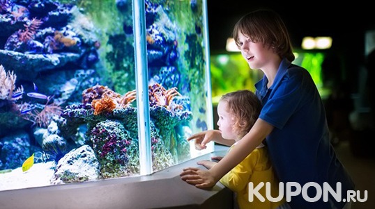 Океанариум по купону! Океанариум «Морской аквариум на Чистых прудах»!  Интересно для детей и взрослых! Скидка 76%!