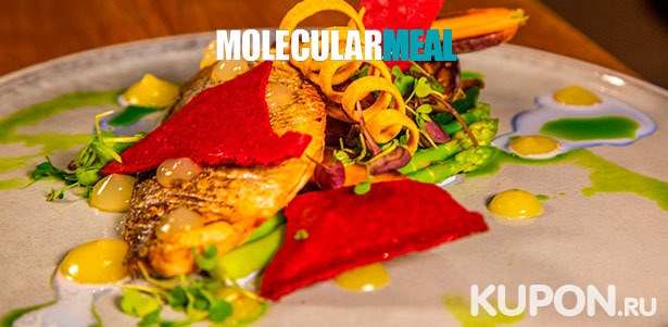 Наборы для приготовления блюд молекулярной кулинарии на выбор от компании Molecularmeal. Скидка до 40%