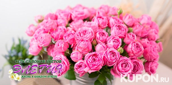 Букеты из эквадорских роз, гербер, хризантем и альстромерий от сети салонов цветов «Элегия». Скидка 50%