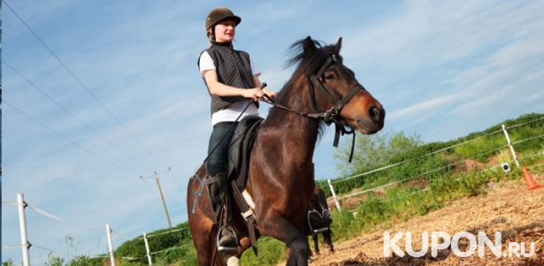 Фотосессия с лошадью, а также 1, 2 или 3 часа конной прогулки в конном клубе «Усадьба» в Марфино. Скидка до 67%
