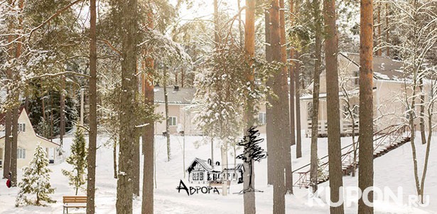 Проживание для компании до 7 человек на базе отдыха «Аврора» в Ленинградской области: уютные коттеджи, сауна и камин! Скидка 40%