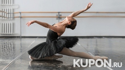 4, 8 или 12 занятий боди-балетом, стретчингом, пилатесом, классическим балетом в студии Art Body Ballet