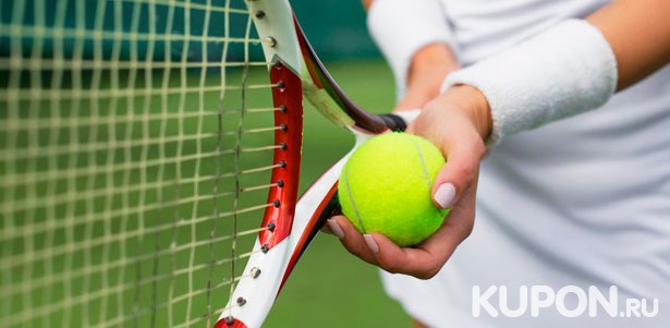 Индивидуальные или групповые тренировки по большому теннису в клубах Profi Tennis Group. **Скидка до 52%**