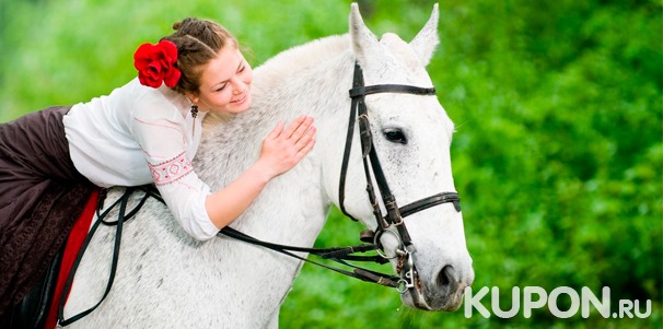 Скидка до 51% на обучение верховой езде или прогулку на лошадях для 1 или 2 человек в конноспортивном клубе «Усть-Ижора»