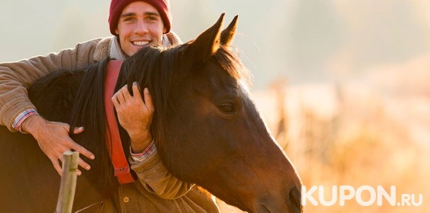 Конные прогулки на выбор для взрослых и детей, а также предоставление лошади для фотосессии от конного двора «Космос» в Митино. Скидка до 63%